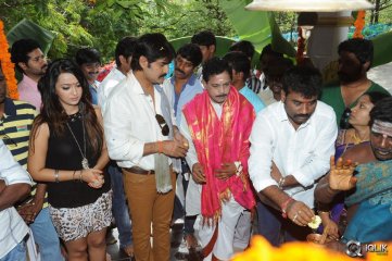 Jalsa Rayudu Movie Opening